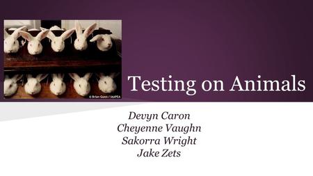 Testing on Animals Devyn Caron Cheyenne Vaughn Sakorra Wright Jake Zets.