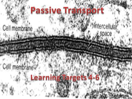 Passive Transport Learning Targets 4-6.