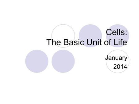 Cells: The Basic Unit of Life