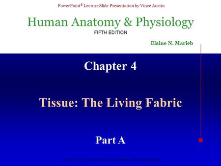 Tissue: The Living Fabric