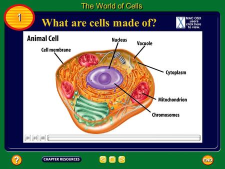 The World of Cells 1 What are cells made of?.