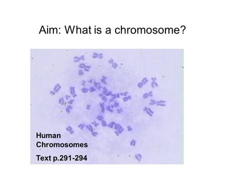 Aim: What is a chromosome?