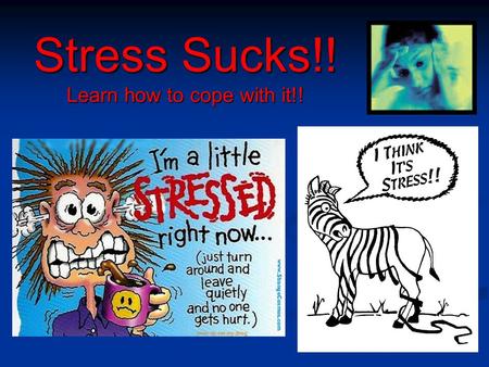 Stress Sucks!! Learn how to cope with it!!