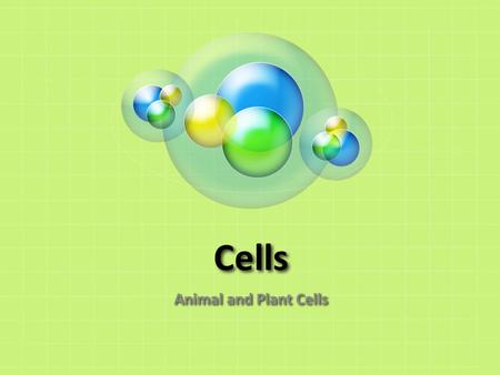 Cells Animal and Plant Cells.