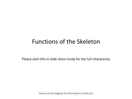 Functions of the Skeleton