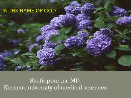 Shafiepour,m MD. Kerman university of medical sciences.