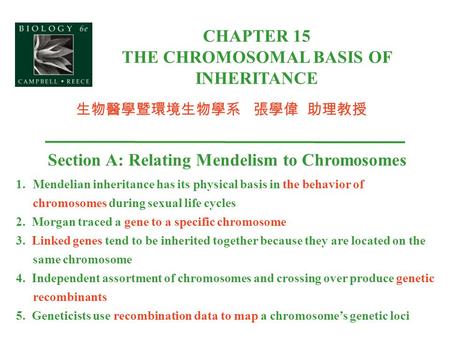 CHAPTER 15 THE CHROMOSOMAL BASIS OF INHERITANCE