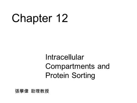 Chapter 12 Intracellular Compartments and Protein Sorting 張學偉 助理教授.