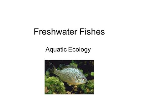 Freshwater Fishes Aquatic Ecology.