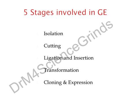 5 Stages involved in GE Isolation Cutting Ligation and Insertion