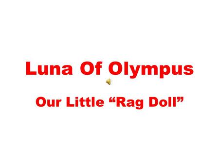 Luna Of Olympus Our Little “Rag Doll” The longest walk.