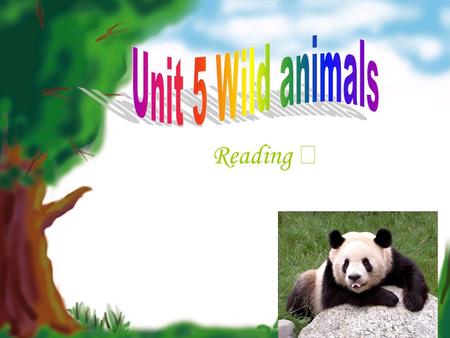 Unit 5 Wild animals Reading Ⅰ.