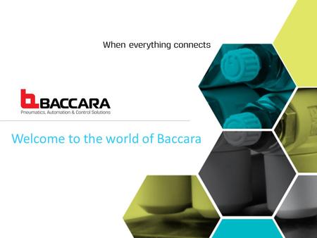 Welcome to the world of Baccara. is a proud manufacturer of high quality solenoid valves and system solutions with operations in the USA, Israel, Spain,