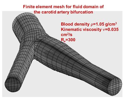 Finite element mesh for fluid domain of the carotid artery bifurcation Blood density  =1.05 g/cm 3 Kinematic viscosity =0.035 cm 2 /s R e =300.