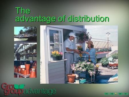 The advantage of distribution Manufacturer Retailer Distributor Economical Timely Effective.