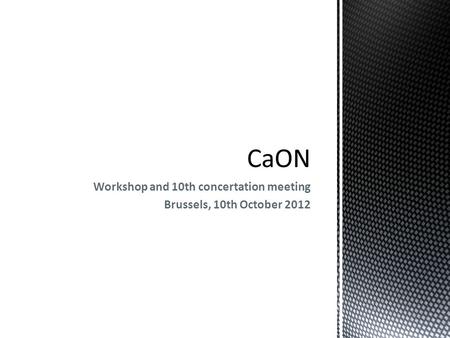 Workshop and 10th concertation meeting Brussels, 10th October 2012.