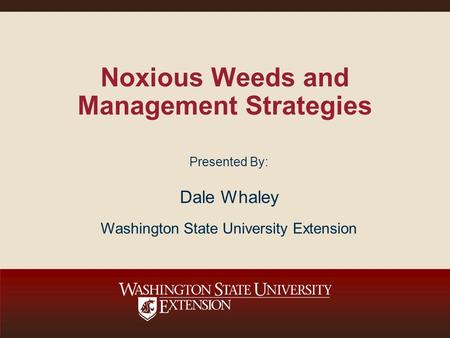 Noxious Weeds and Management Strategies Presented By: Dale Whaley Washington State University Extension.
