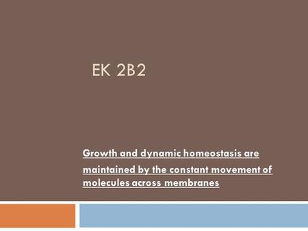 EK 2B2 Growth and dynamic homeostasis are