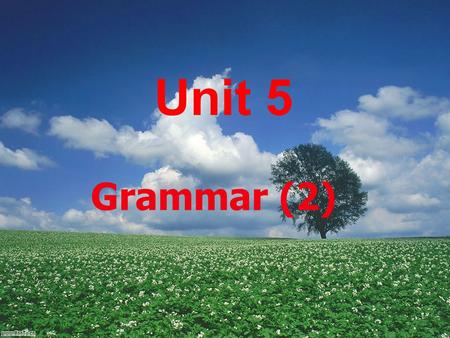 Unit 5 Grammar (2).