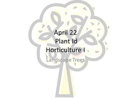 April 22 Plant Id Horticulture I Landscape Trees.