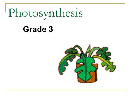 Photosynthesis Grade 3.