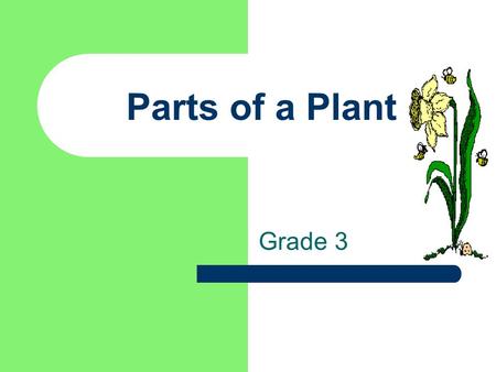 Parts of a Plant Grade 3.