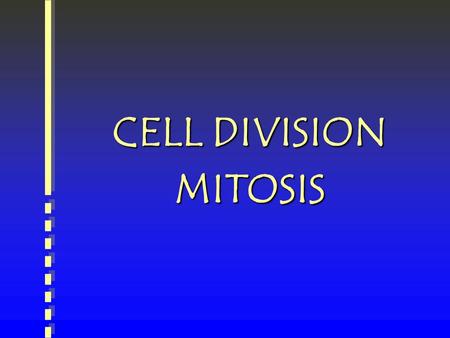 CELL DIVISION MITOSIS. MITOSIS Cell Division for Growth.
