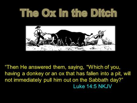 “Then He answered them, saying, Which of you, having a donkey or an ox that has fallen into a pit, will not immediately pull him out on the Sabbath day?”