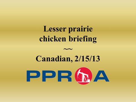 Lesser prairie chicken briefing ~~ Canadian, 2/15/13.