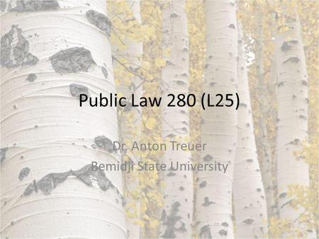 Public Law 280 (L25) Dr. Anton Treuer Bemidji State University.