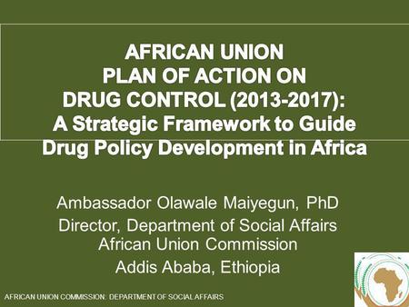 A Strategic Framework to Guide Drug Policy Development in Africa