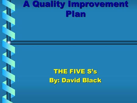 A Quality Improvement Plan THE FIVE S’s By: David Black.