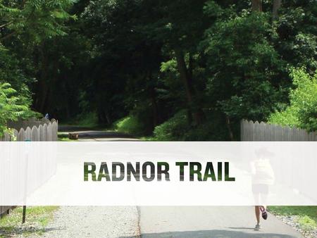 THE ECONOMIC VALUE OF PROTECTED OPEN SPACE Case Study: Radnor Trail.