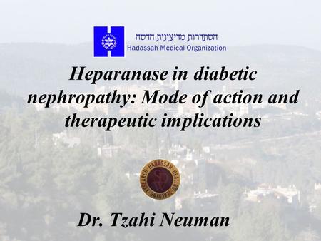 Heparanase in diabetic nephropathy: Mode of action and therapeutic implications Dr. Tzahi Neuman.