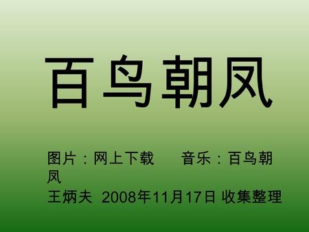 百鸟朝凤 图片：网上下载 音乐：百鸟朝 凤 王炳夫 2008 年 11 月 17 日 收集整理.