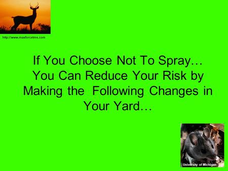 If You Choose Not To Spray… You Can Reduce Your Risk by Making the Following Changes in Your Yard… University of Michigan