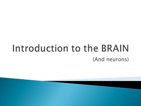 Introduction to the BRAIN