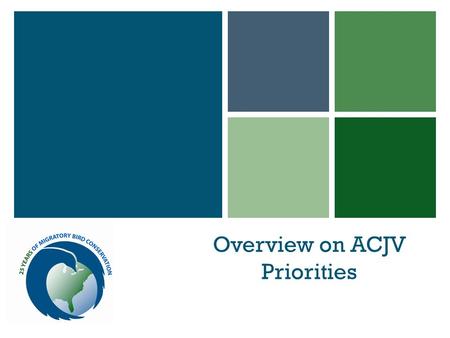 + Overview on ACJV Priorities. + Overview Why do we need to focus? Historic changes in ACJV scope Limitations Aligning capacity & priorities.