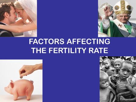 FACTORS AFFECTING THE FERTILITY RATE. What is the Fertility Rate? The average number of children borne by women during the whole of their child bearing.