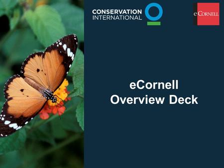 ECornell Overview Deck. What is eCornell? Online e-Learning courses from Cornell University’s Johnson Graduate School of Management Instructor-Led, Interactive.