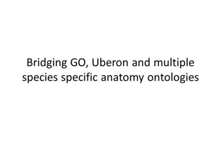 Bridging GO, Uberon and multiple species specific anatomy ontologies.