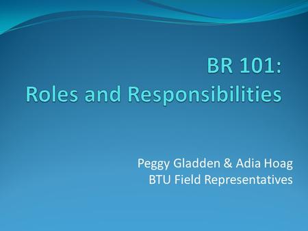 BR 101: Roles and Responsibilities