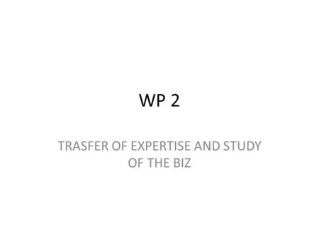 WP 2 TRASFER OF EXPERTISE AND STUDY OF THE BIZ. WP 2 TRASFER OF EXPERTISE-CONSORTIUM CONFERENCE STUDY OF THE BIZ – DESCRPITION/PICTURE OG THE BIZ D2a.