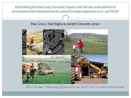 Estimating the best way forward: Expert and farmer evaluations of environmental interventions to reduce human exposure to E. coli O157 Paul Cross, Dan.