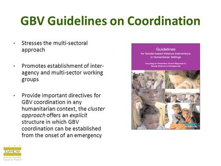 GBV Guidelines on Coordination Stresses the multi-sectoral approach Promotes establishment of inter- agency and multi-sector working groups Provide important.