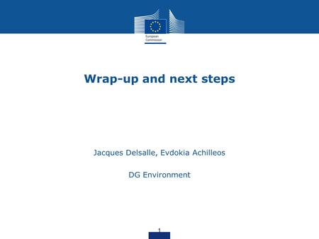 Wrap-up and next steps Jacques Delsalle, Evdokia Achilleos DG Environment 1.