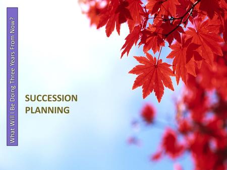 SUCCESSION PLANNING. Without Succession Planning Marking & Developing Select Successor.
