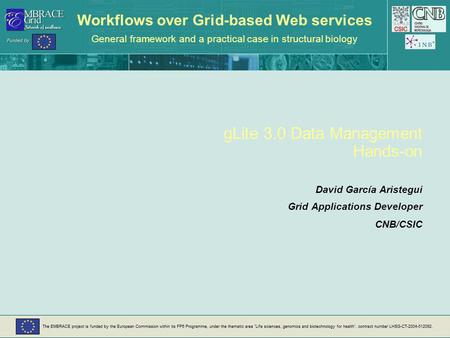 Workflows over Grid-based Web services General framework and a practical case in structural biology gLite 3.0 Data Management Hands-on David García Aristegui.