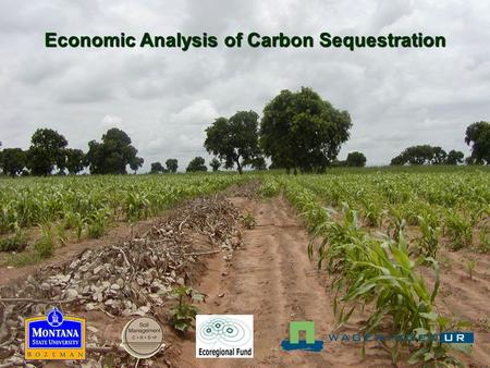 Economic Analysis of Carbon Sequestration. Hypothesis: By adopting more sustainable practices, farmers can sequester C in soil at a cost competitive with.