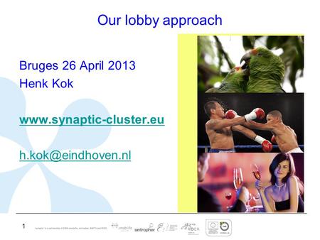 1 Our lobby approach Bruges 26 April 2013 Henk Kok